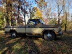 Thumbnail Photo 15 for 1979 Ford F150